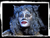Начало продаж билетов на мюзикл «CATS»