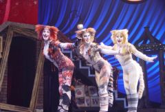 Мюзикл Cats. USA. Фото № 72