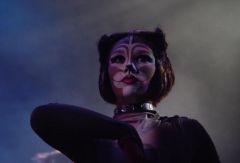 Мюзикл Cats. USA. Фото № 82