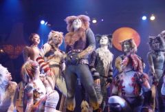 Мюзикл Cats. USA. Фото № 81