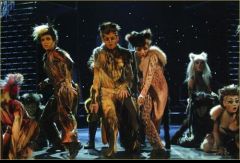 Мюзикл Сats. Польская постановка. Фото № 8