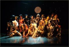 Мюзикл Сats. Польская постановка. Фото № 9