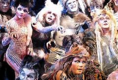 Мюзикл Сats. Польская постановка. Фото № 23