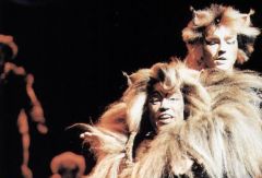 Мюзикл CATS. Мадрид. Испания. Фото № 9