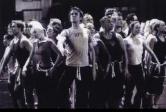 Cats. Южная Африка. Фото № 48