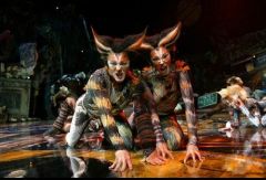 Cats. Южная Африка. Фото № 22