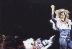 Cats. Южная Африка. Фото № 56