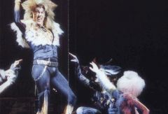 Cats. Южная Африка. Фото № 55