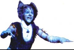 Мюзикл Cats. Канада. Фото № 13