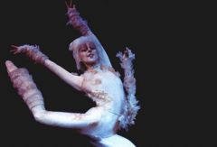 Мюзикл Cats. Канада. Фото № 16