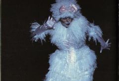 Мюзикл CATS. Вена-Австрия. Фото № 7