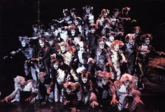 Мюзикл Cats. Лондон 1994-1995  г. Фото № 18 5