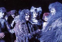 Мюзикл Cats. Лондон 1991 год. Фото 0