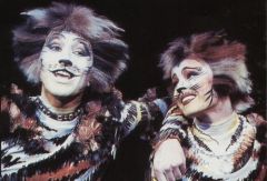 Мюзикл Cats. Лондон 1996 г. Фото № 18