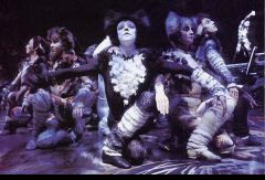 Мюзикл Cats. Лондон 1991 год. Фото 12