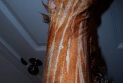 Мюзикл Cats. Костюм № 12