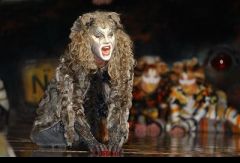 Дюссельдорф, мюзикл Cats. Фото № 23