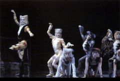Мюзикл CATS, Japan Sapporo 1997 год. Фото № 92